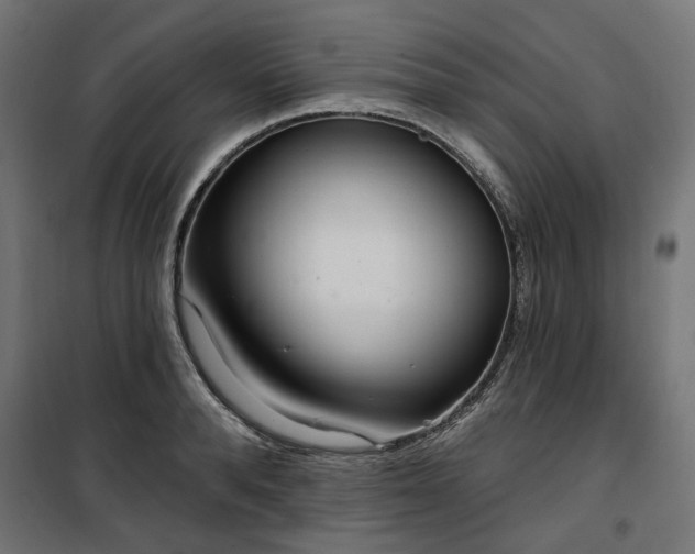 X0000100470896200806201604