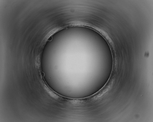 X0000100470897200806201604