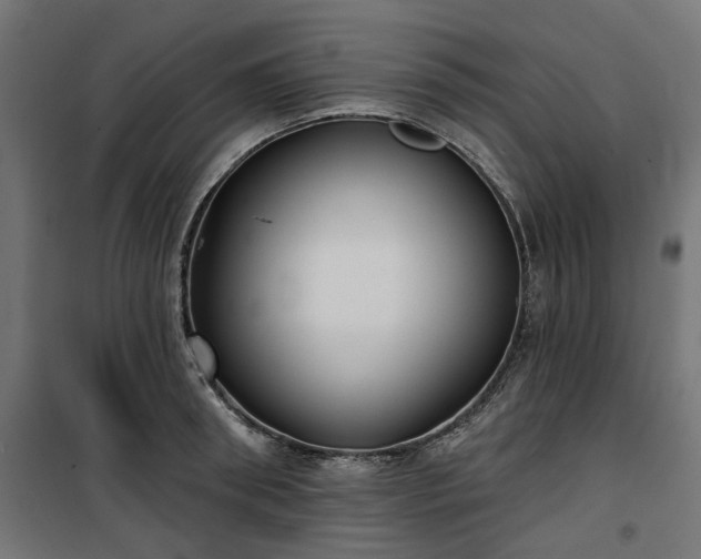 X0000100470898200806201604