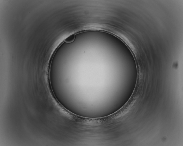 X0000100470901200806201604