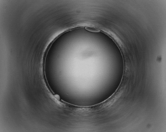 X0000100470902200806201604