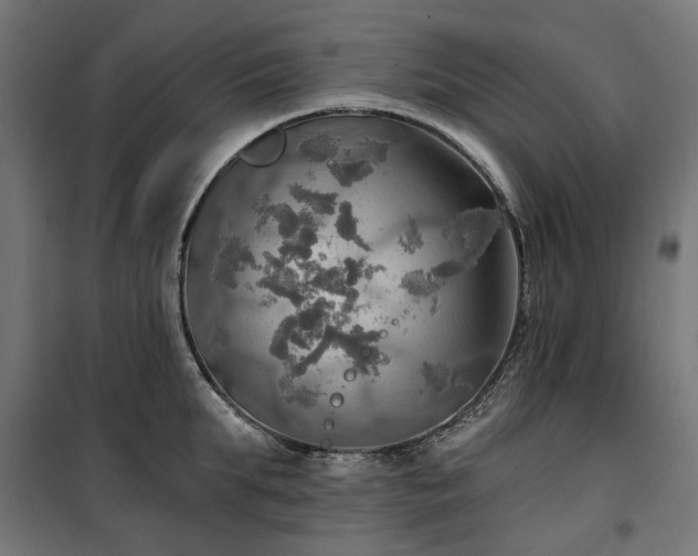 X0000100470903200806201604