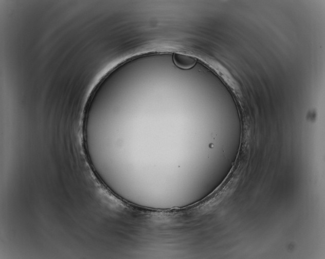 X0000100470904200806201604