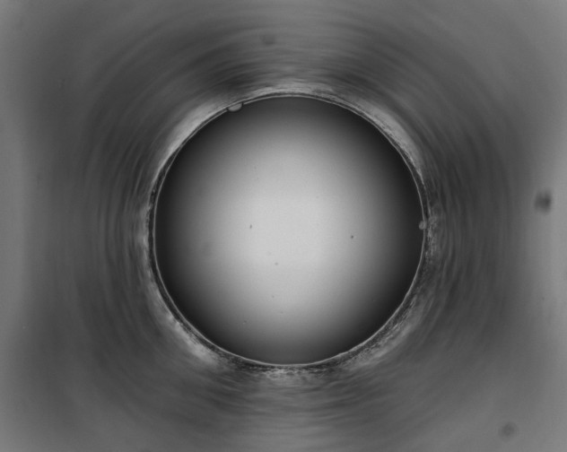 X0000100470906200806201604