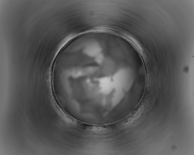 X0000100470907200806201604