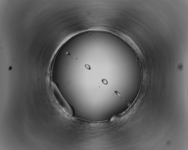 X0000100470908200806201604