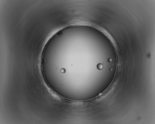 X0000100470909200806201604