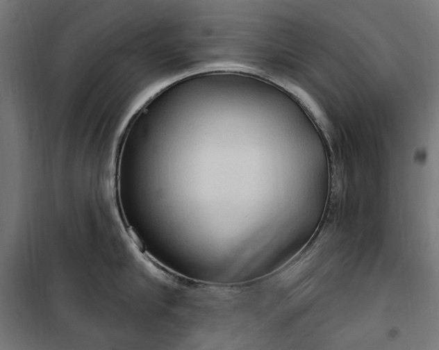 X0000100470910200806201604