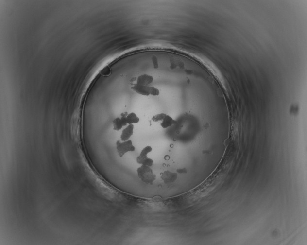 X0000100470911200806201604