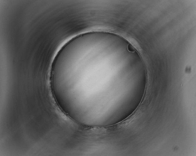 X0000100470912200806201604