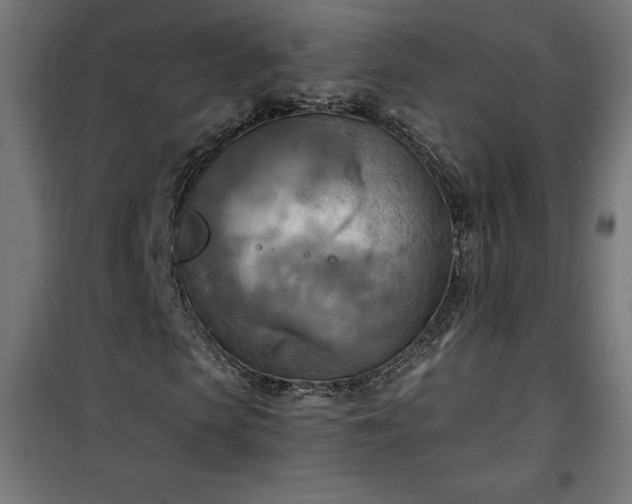 X0000100470913200806201603