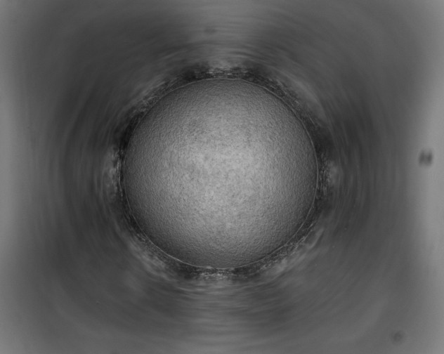 X0000100470914200806201603