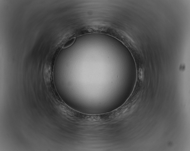 X0000100470915200806201603