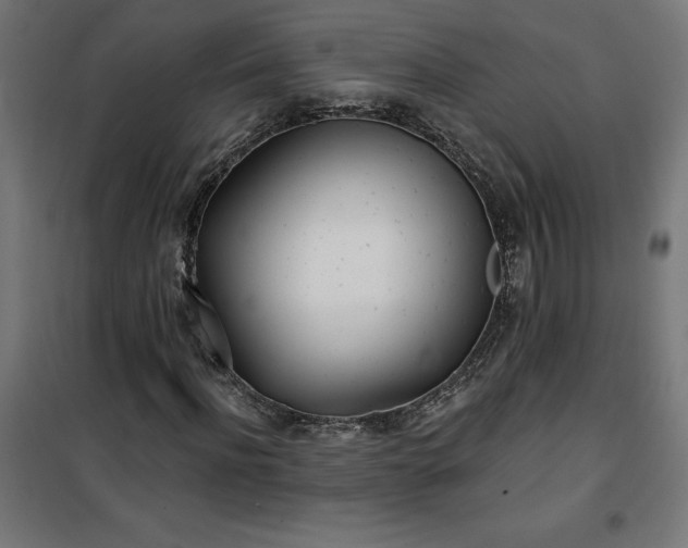 X0000100470916200806201603