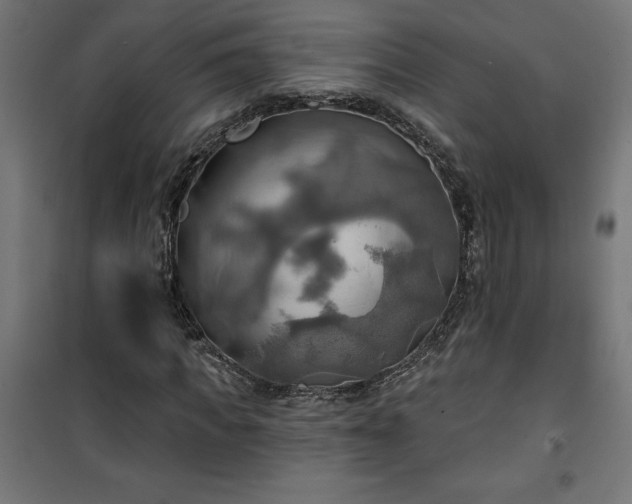 X0000100470917200806201603