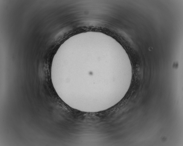 X0000100470918200806201603