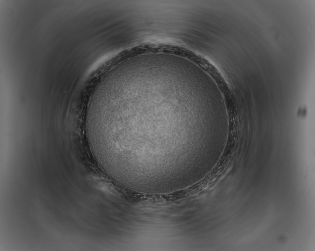 X0000100470919200806201603