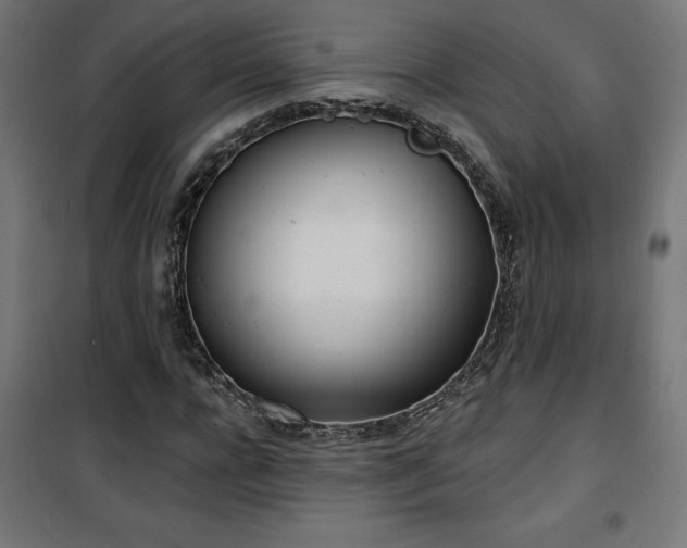 X0000100470920200806201603