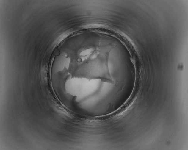 X0000100470921200806201603