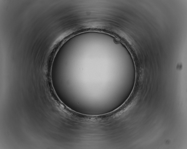 X0000100470922200806201603