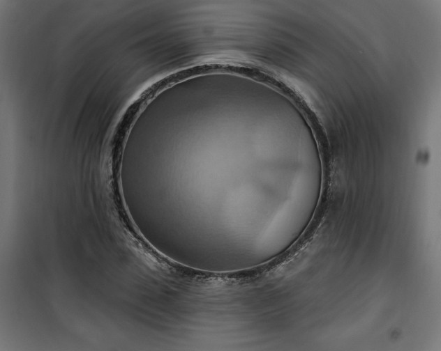 X0000100470923200806201603