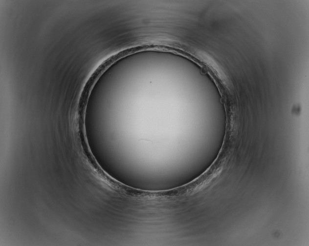 X0000100470924200806201603