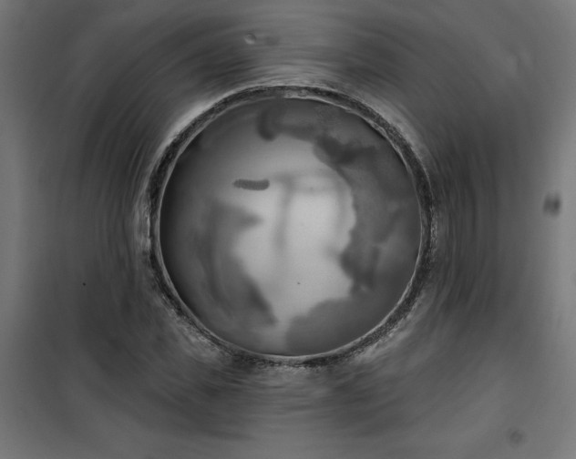 X0000100470925200806201603