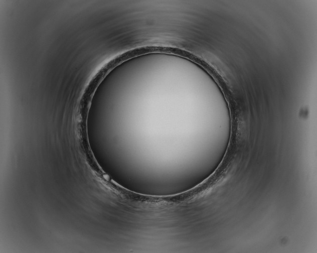 X0000100470926200806201603