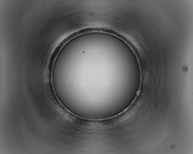 X0000100470927200806201603