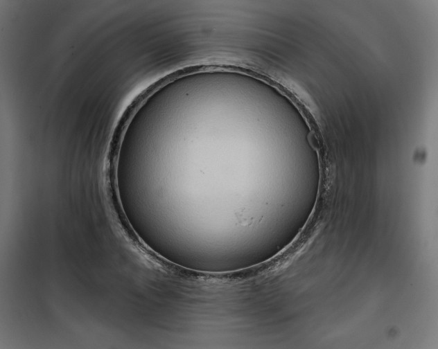 X0000100470928200806201603