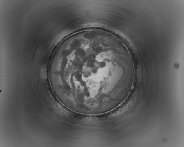 X0000100470929200806201603