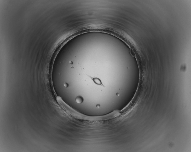 X0000100470930200806201603