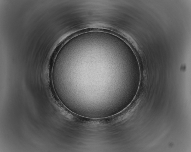 X0000100470931200806201603