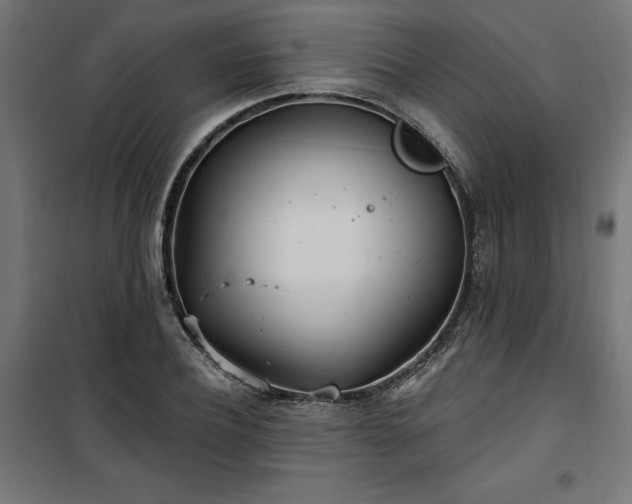 X0000100470932200806201603