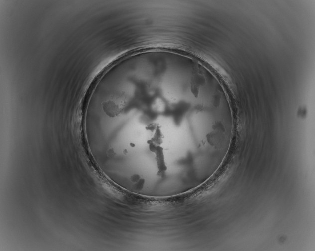 X0000100470933200806201603