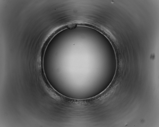 X0000100470934200806201603