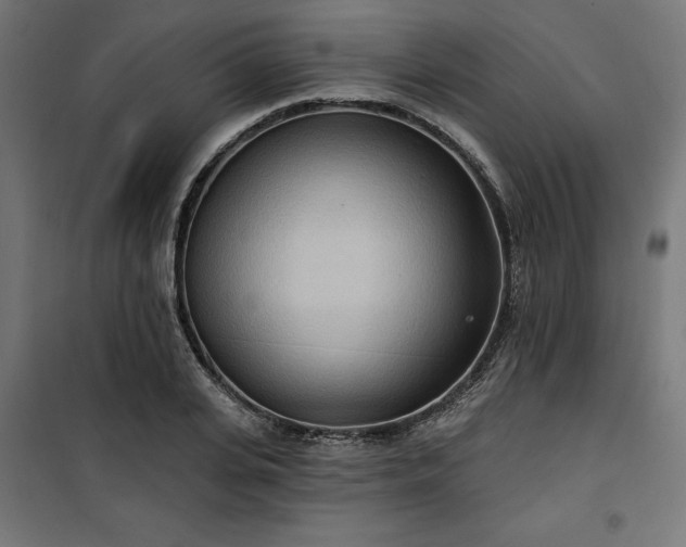 X0000100470935200806201603