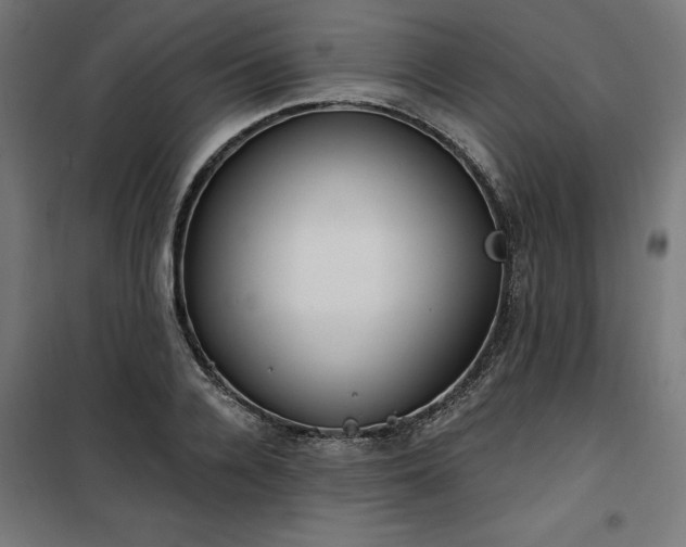 X0000100470936200806201603