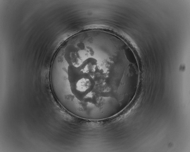 X0000100470937200806201603