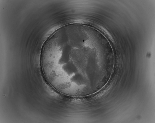 X0000100470938200806201603