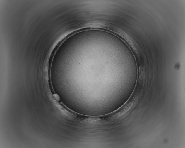 X0000100470939200806201603