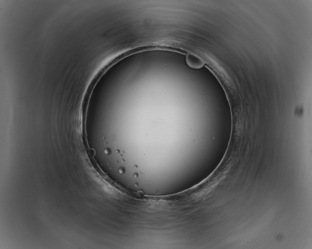 X0000100470940200806201603