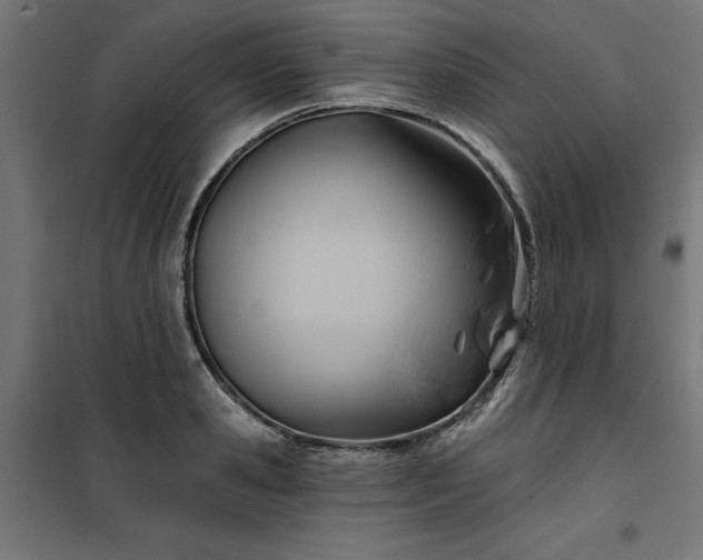 X0000100470941200806201603