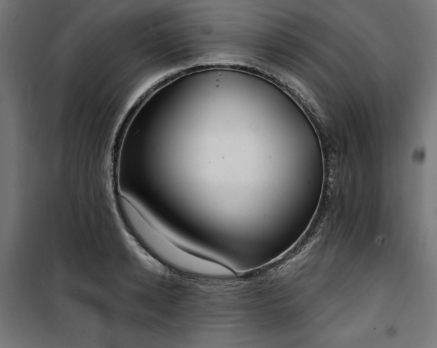 X0000100470942200806201603