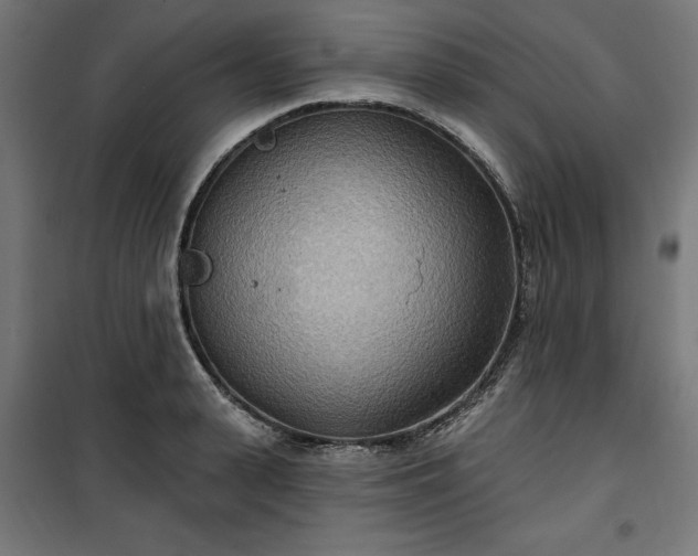 X0000100470943200806201603