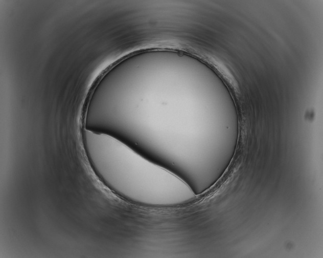 X0000100470944200806201603