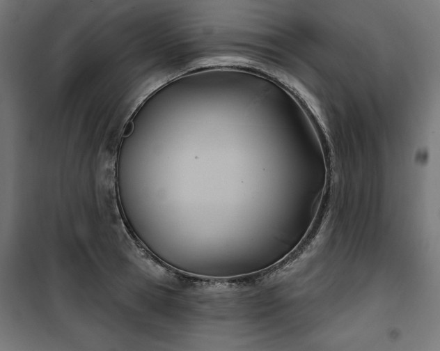 X0000100470945200806201603