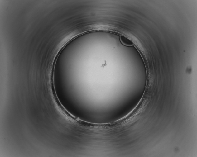 X0000100470946200806201603