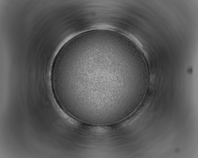 X0000100470947200806201603