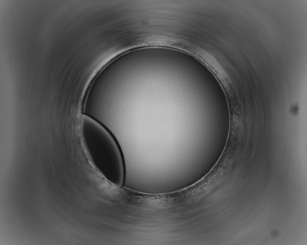 X0000100470948200806201603